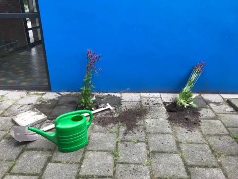 img 20210803 wa0004 nk tegelwippen