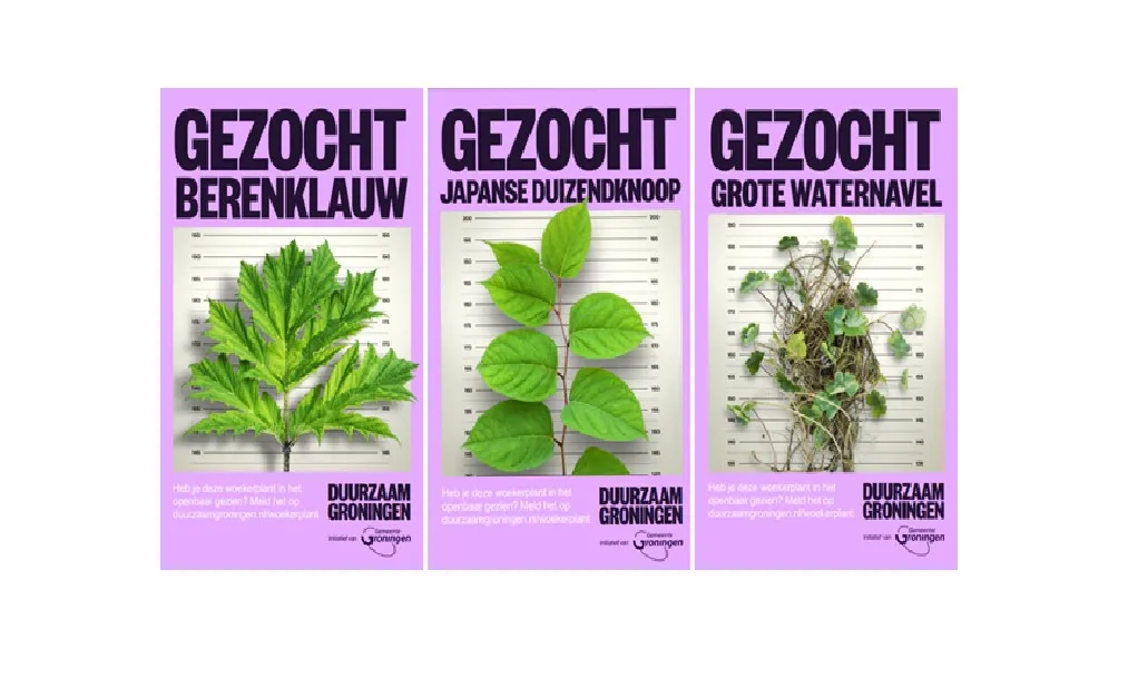 indringers duurzaam