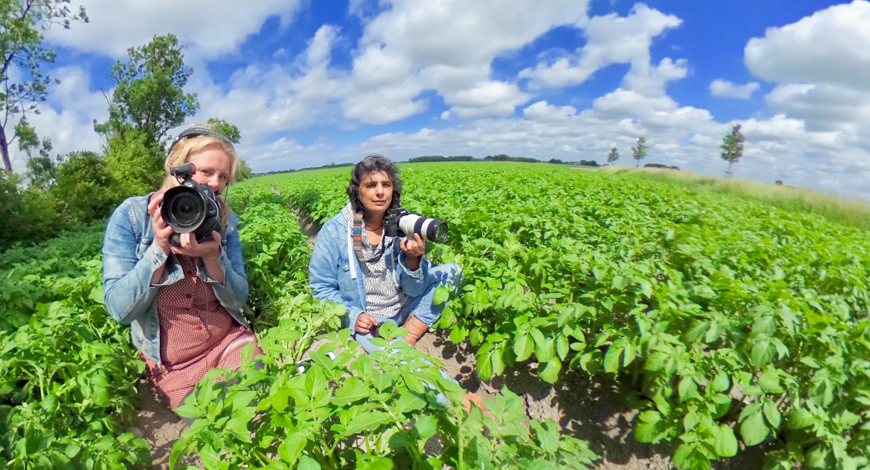 ingrid oyevaar sarahstiles boeren op het hogeland