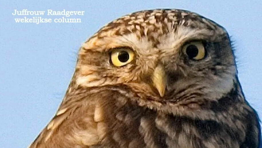 juffrouw raadgever3 scaled 915x518 ede nieuws chris ouboter