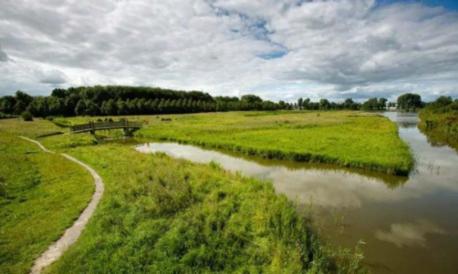 kardinge beweegcaf 29 oktober gemeente groningen