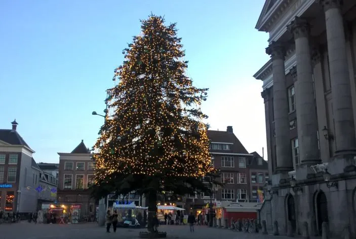 kerstboom 21