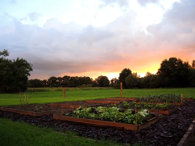 kitchen garden 697894 640