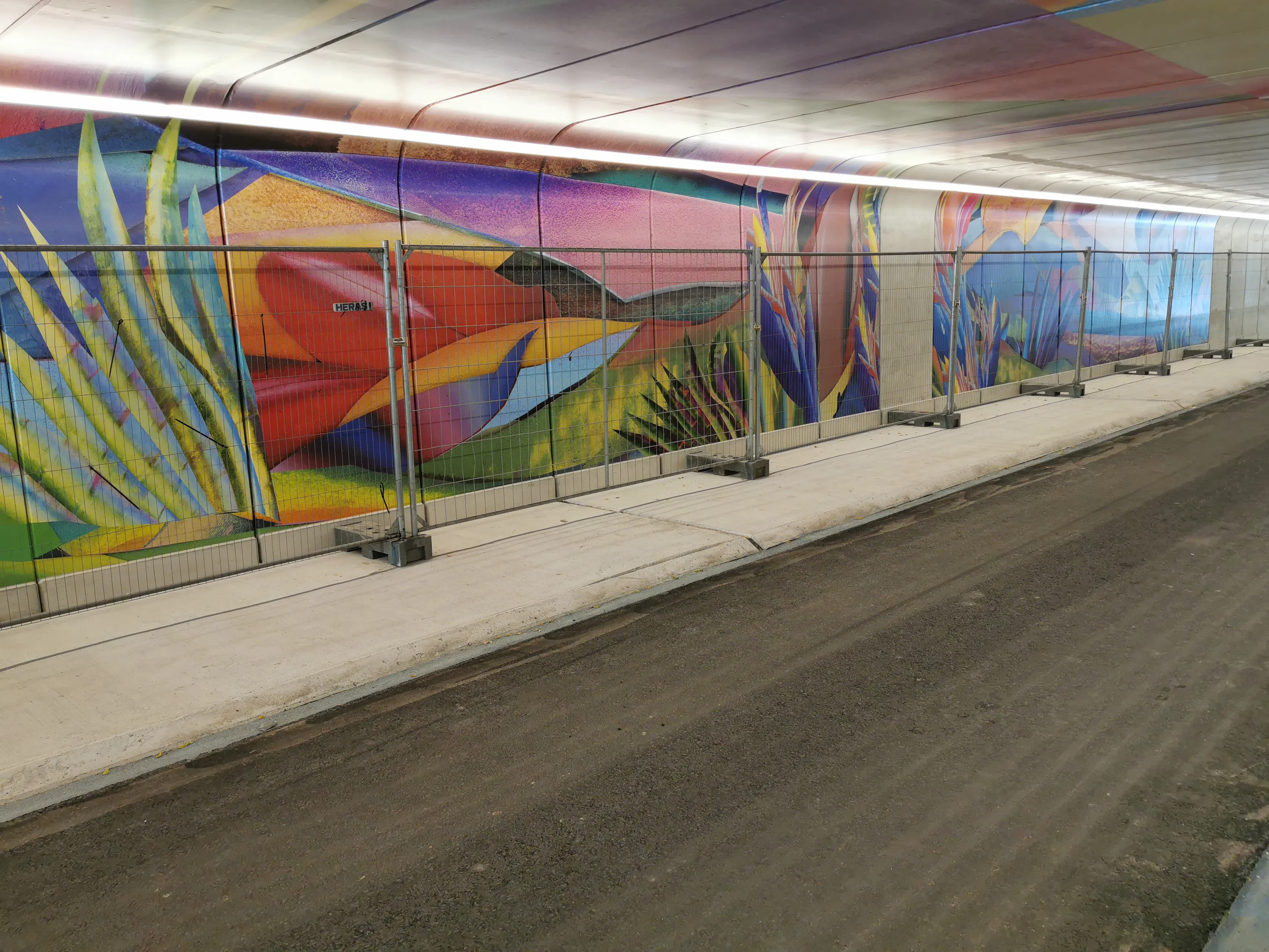 kunst tunnel zuidelijke ringweg