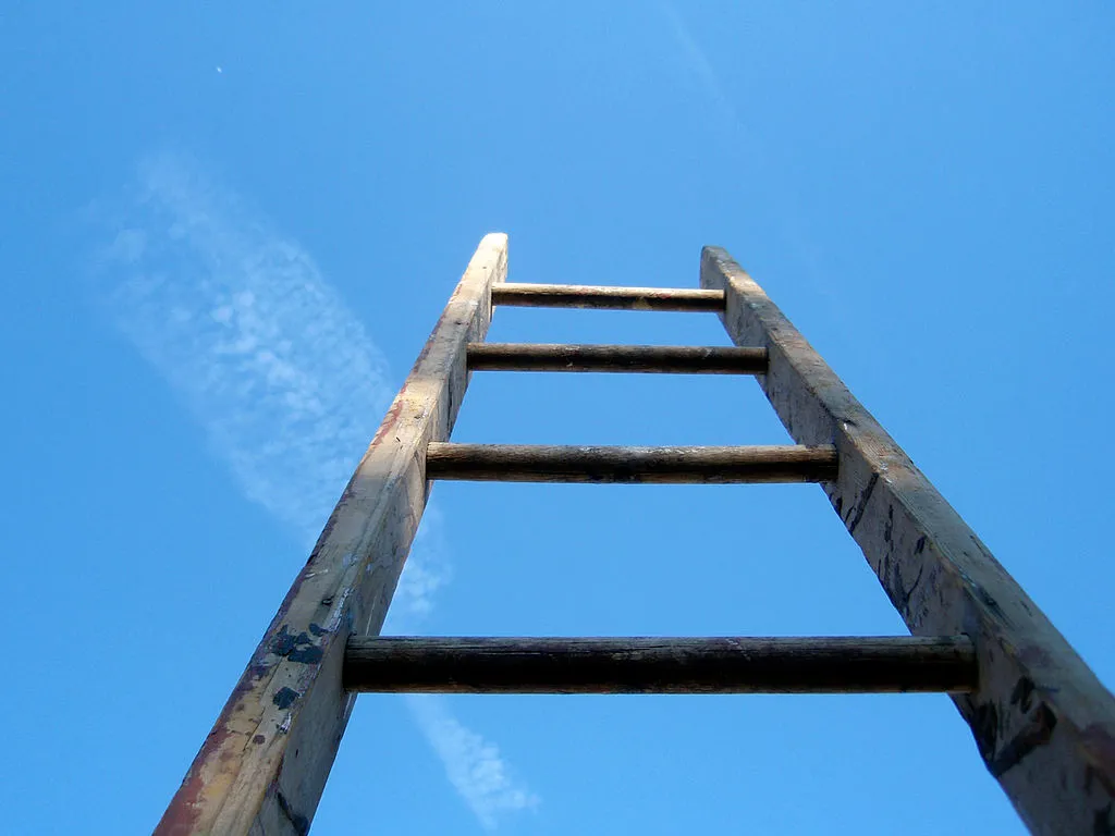 ladder cc by 20 wikipedia commons mykl roventine