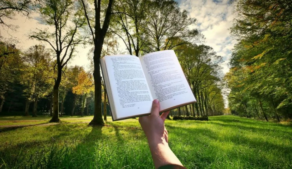lezen boek fotograferen phxerecom cc0