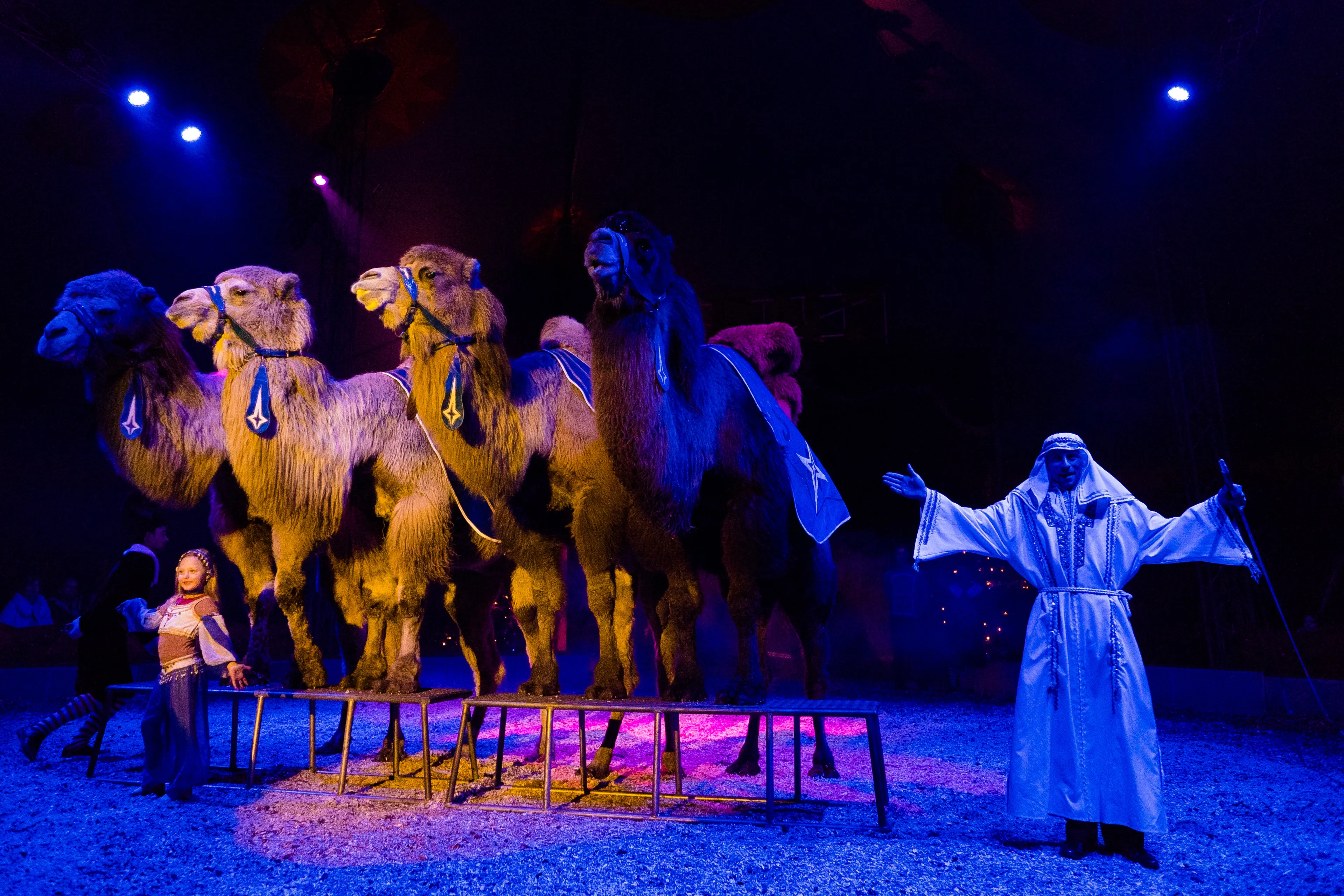 mh150102 r040 circus renz berlin 2016