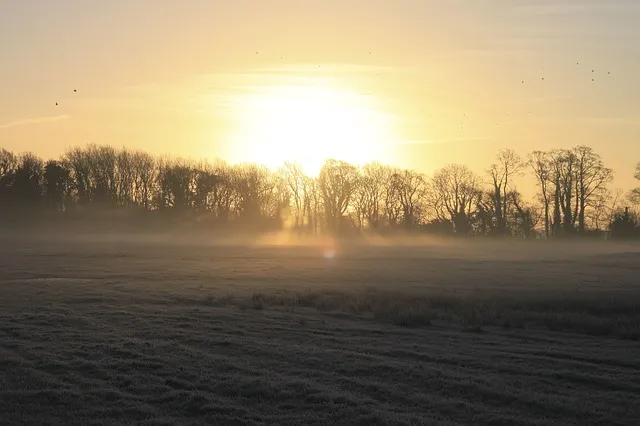 mist