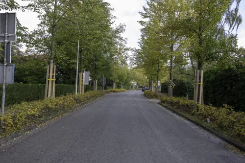 molenweg haren