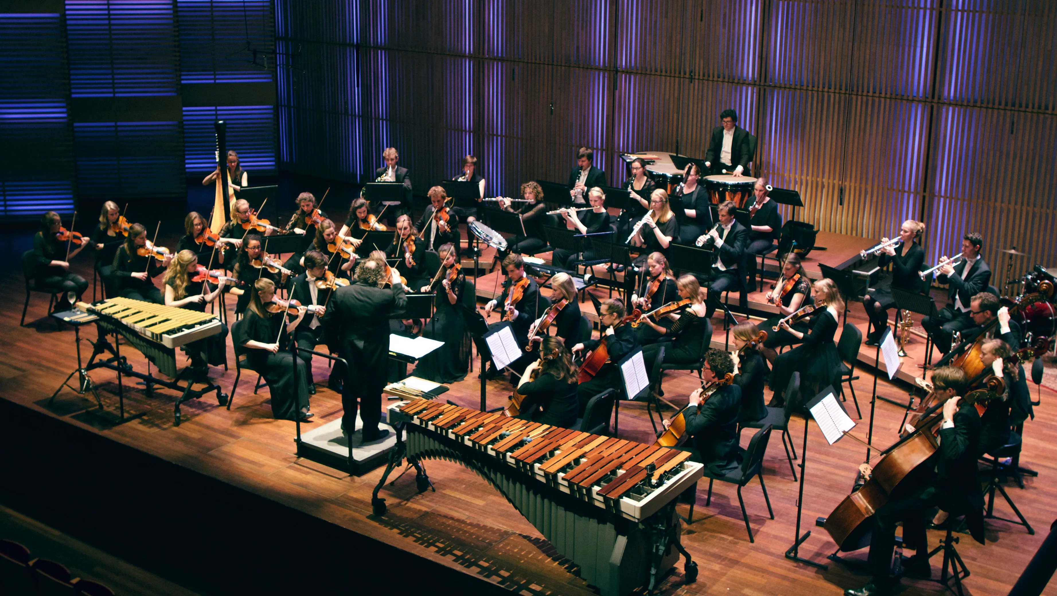 nesko foto milagro elstak