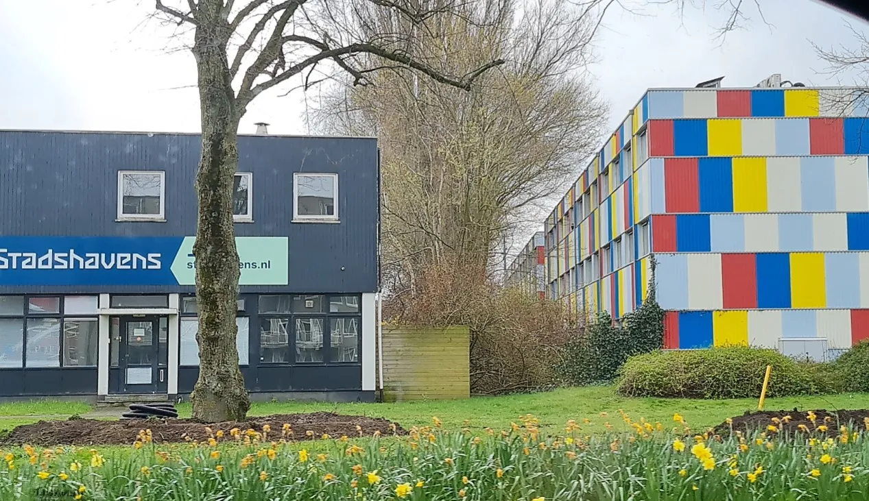 nieuwe bomen stadshaven