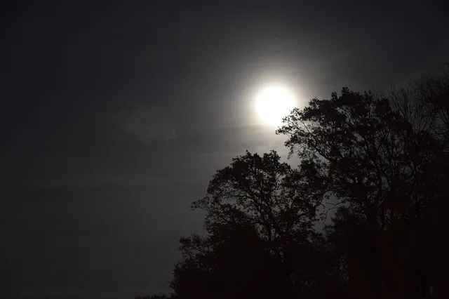 night 522719 640