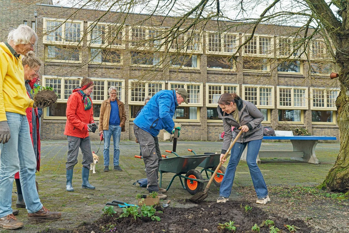 nk tegelwippen bert lanting1