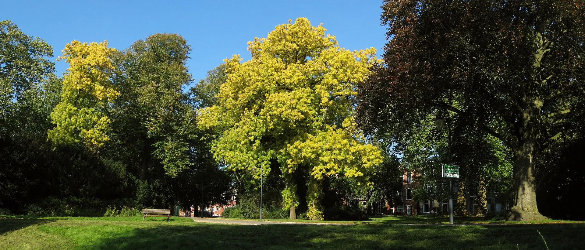 noorderplantsoen cc by sa 30 wutsje