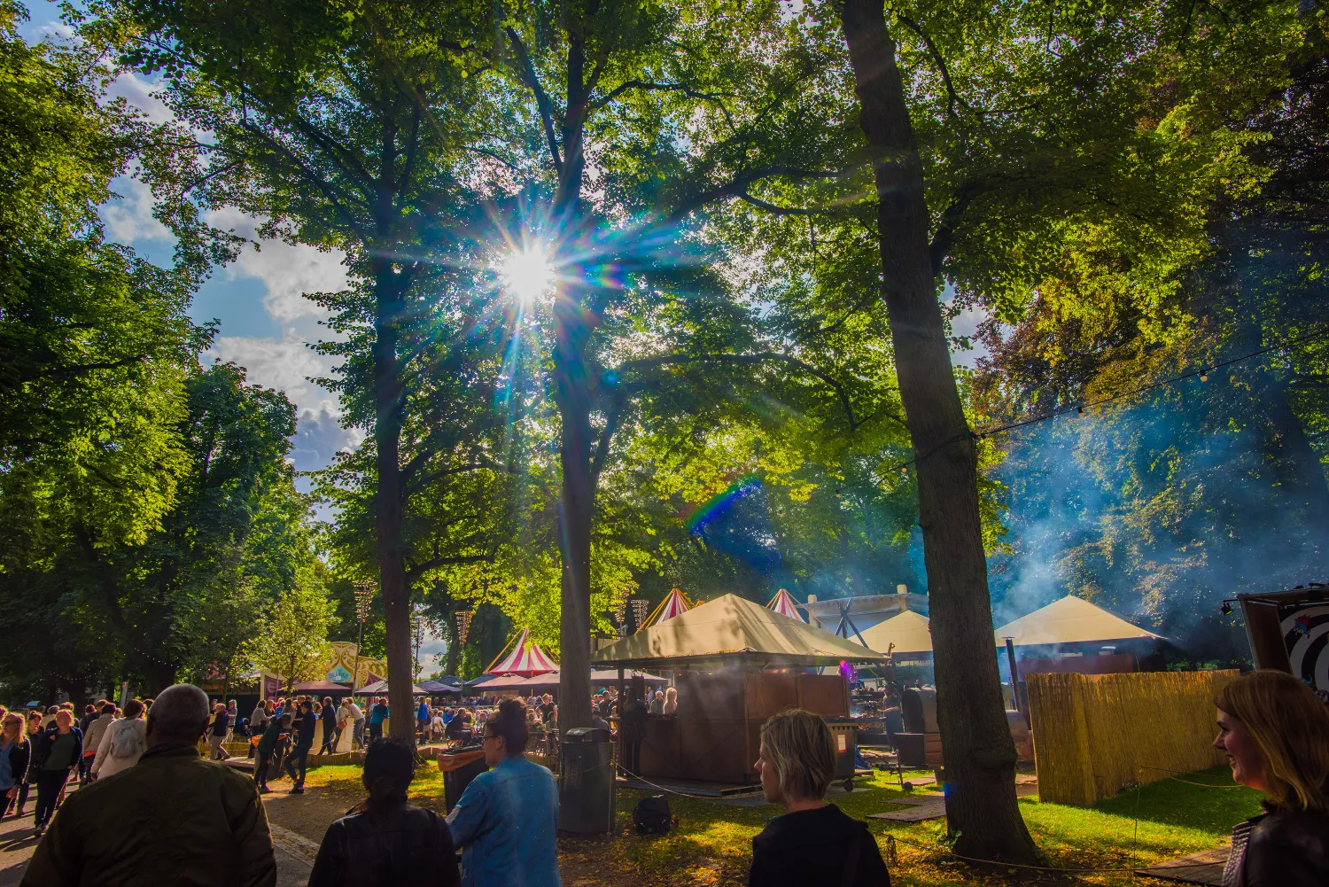 nzon2017 sfeer47 cknelis