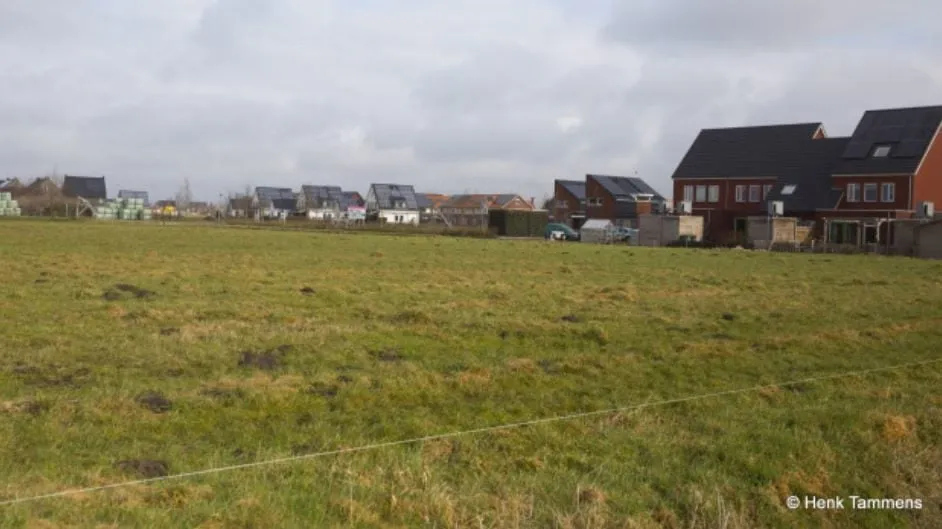 ontwerp speel en moestuin meerstad1 e1546792987290