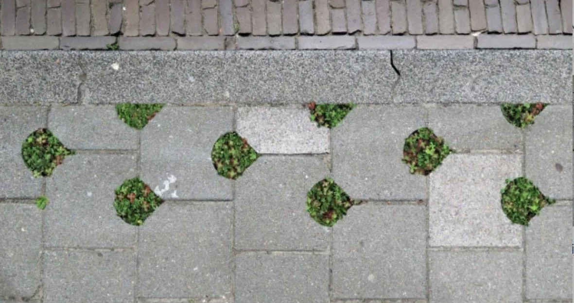 oranjebuurt krijgt als eerste wijk grunngrastegels