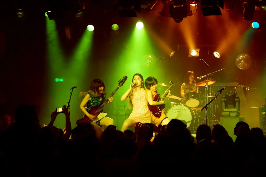 otoboke beaver