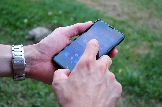 phonepubliek domein