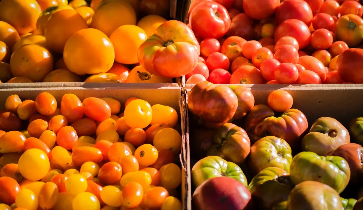 photo 133389jpgd groente fruit pompoen markt