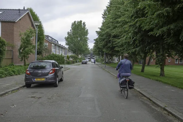 populierenlaan selwerd