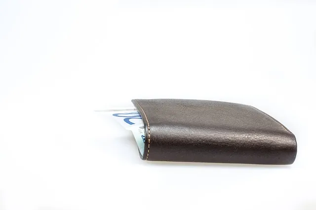purse 503958 640publiek domein