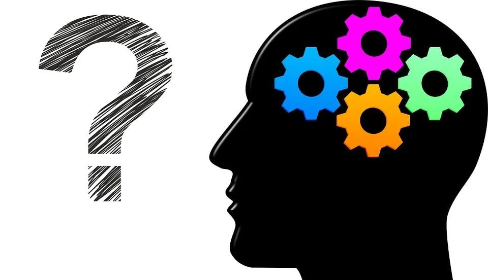 quiz think question thinking brain answer 2004314 hersenen max pixel publiek domein e1540928713836