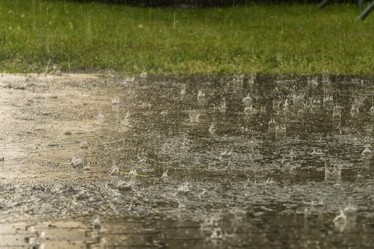 rain 3954273 1280 regen