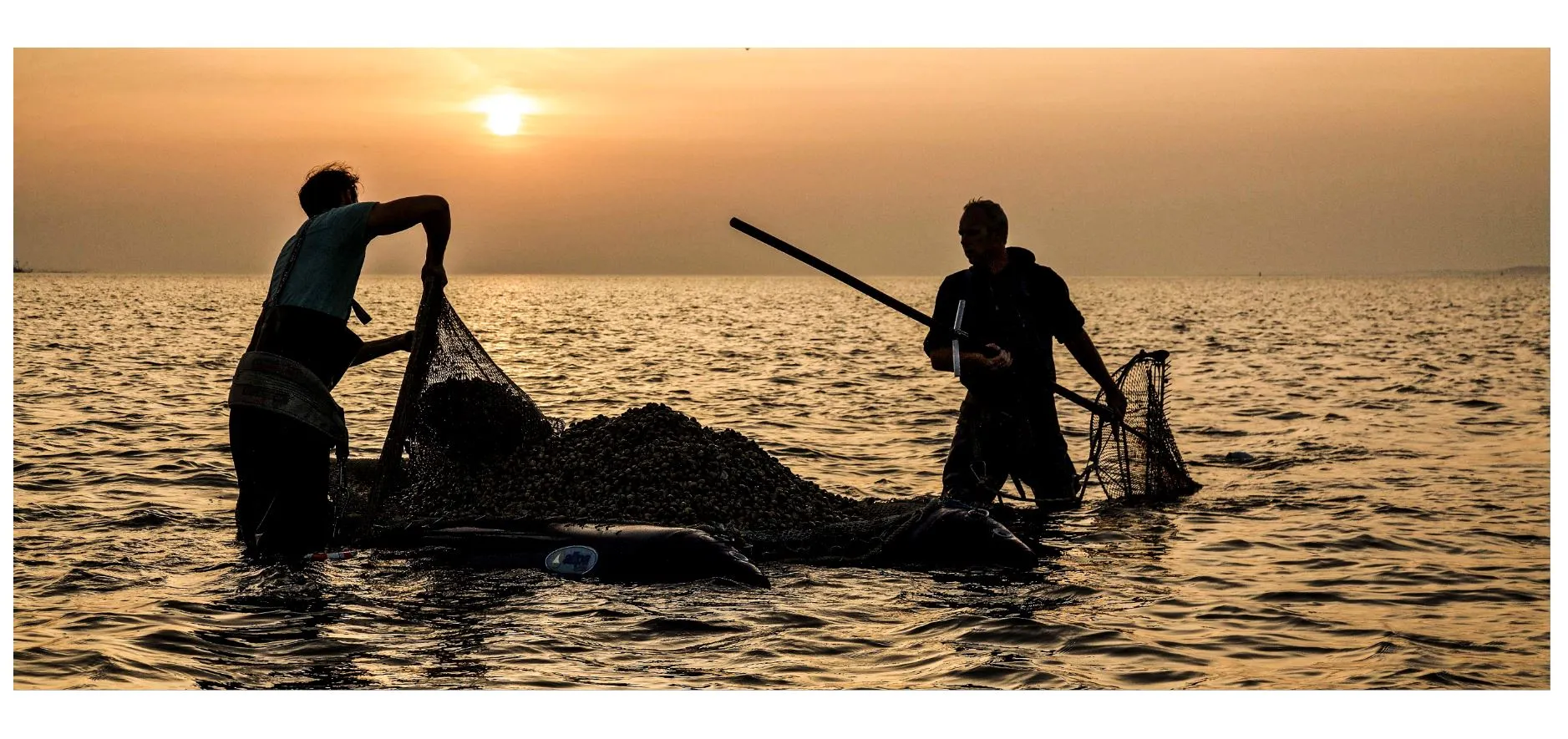 schelpdiervissers waddenfonds