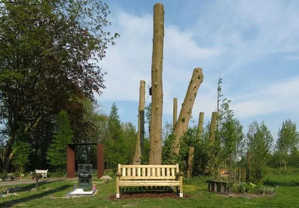 selwerderhof groningen cc by sa 30 wutsje wikipedia commons1