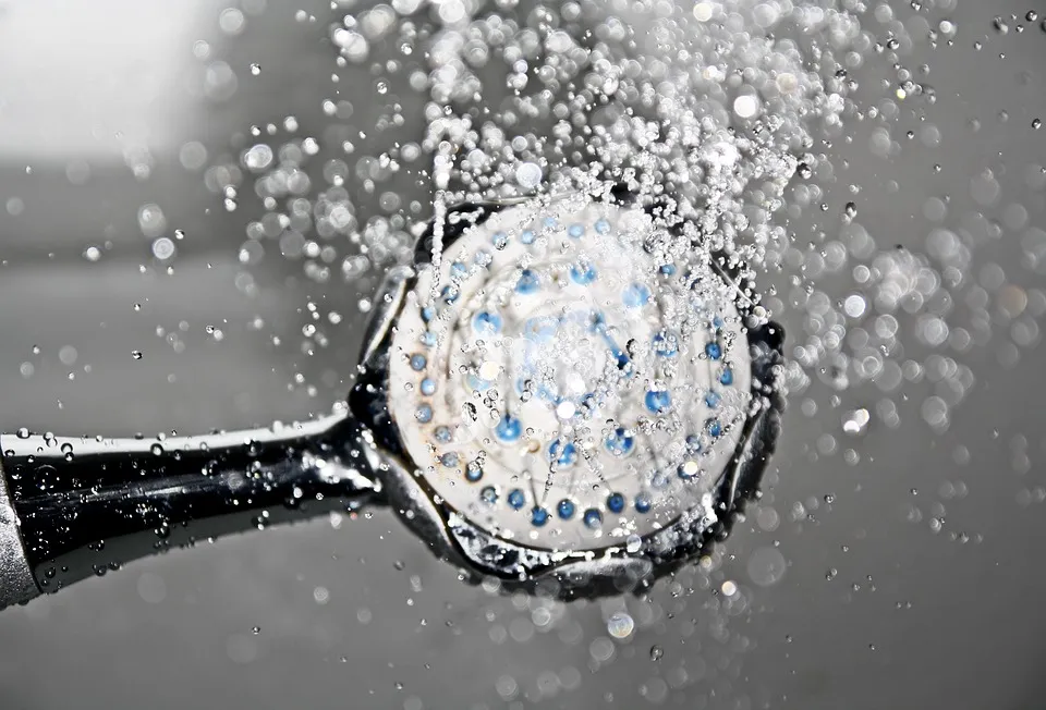 shower 1502736 960 720 douchekop