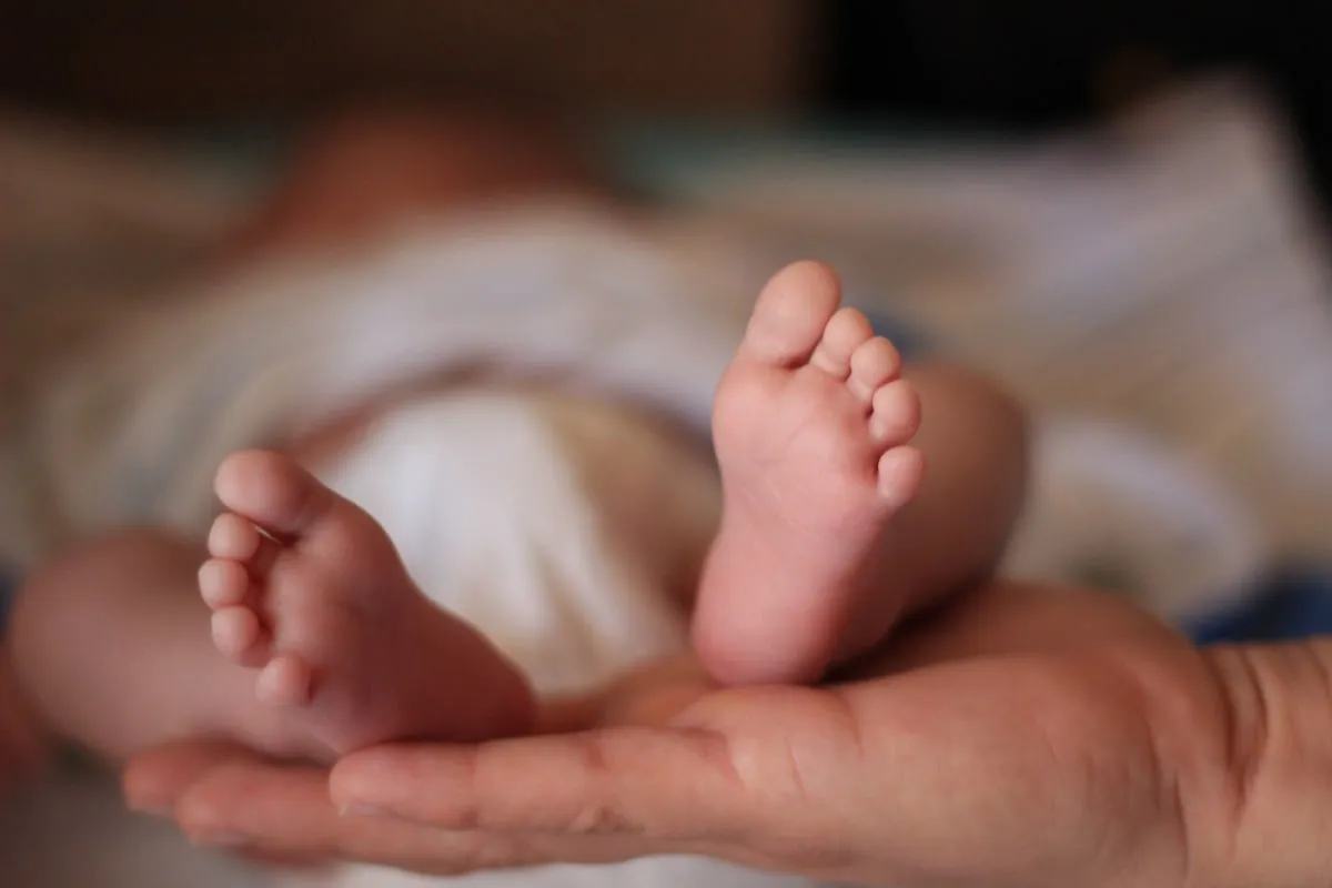 small baby new born child feet cute hand mother 1361408jpgd baby voeten