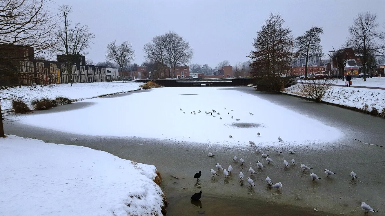 sneeuw lewenborg vijver uitzicht winkelcentrum