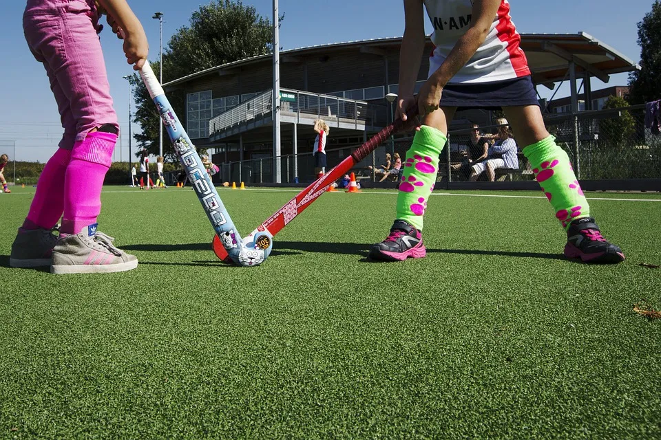 sport hockey sports 3656317 cc0