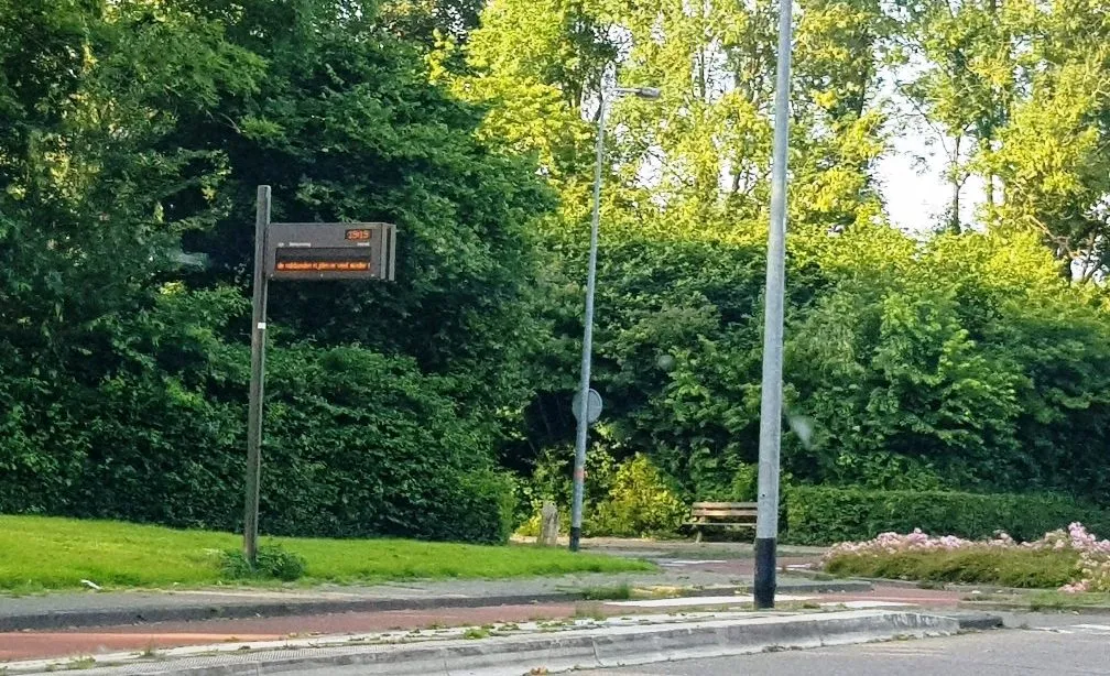 staking11 e1530222575583