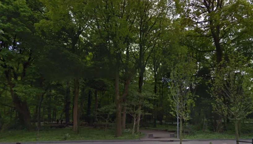 sterrebos kemkensberg