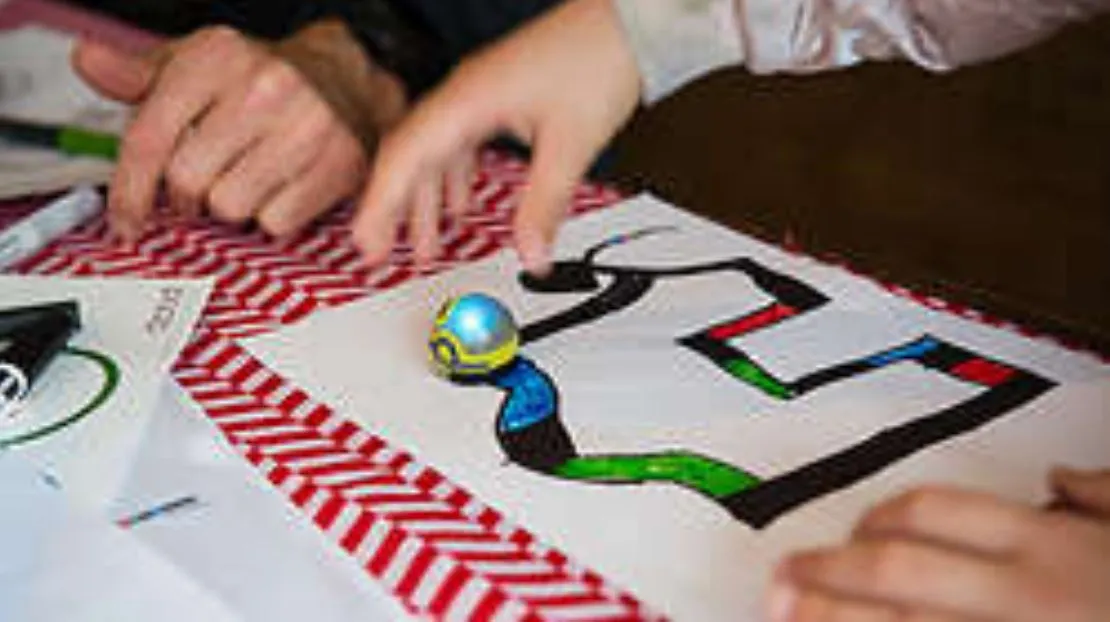 taartrovers tour groninger forum