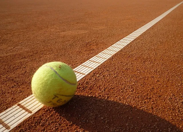 tennis court 443267 640