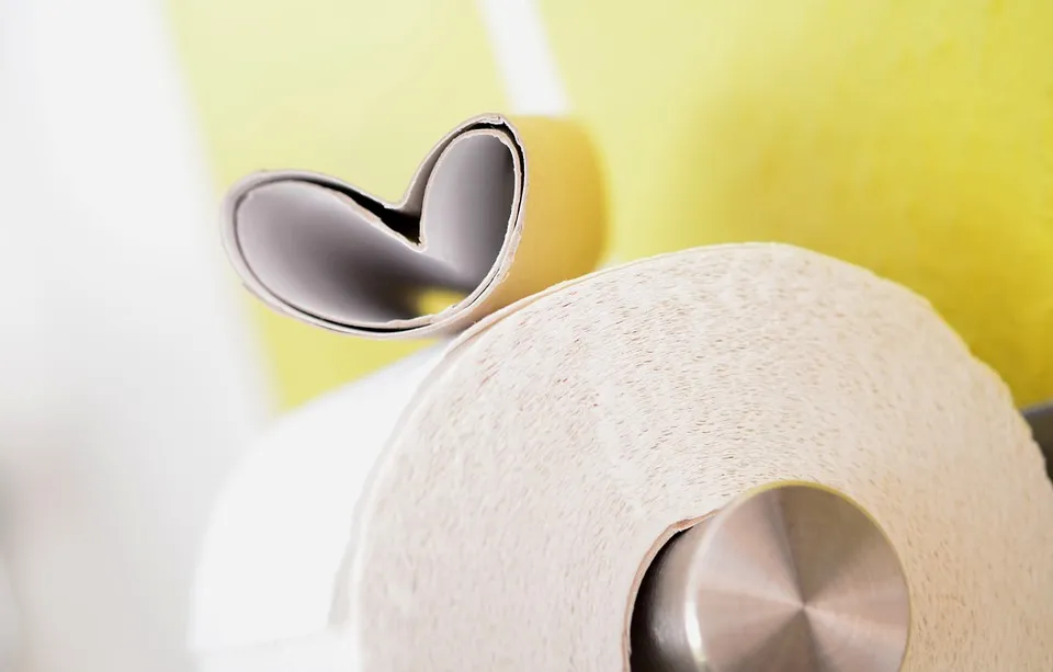 toilet paper 627032 960 720 wcpapier