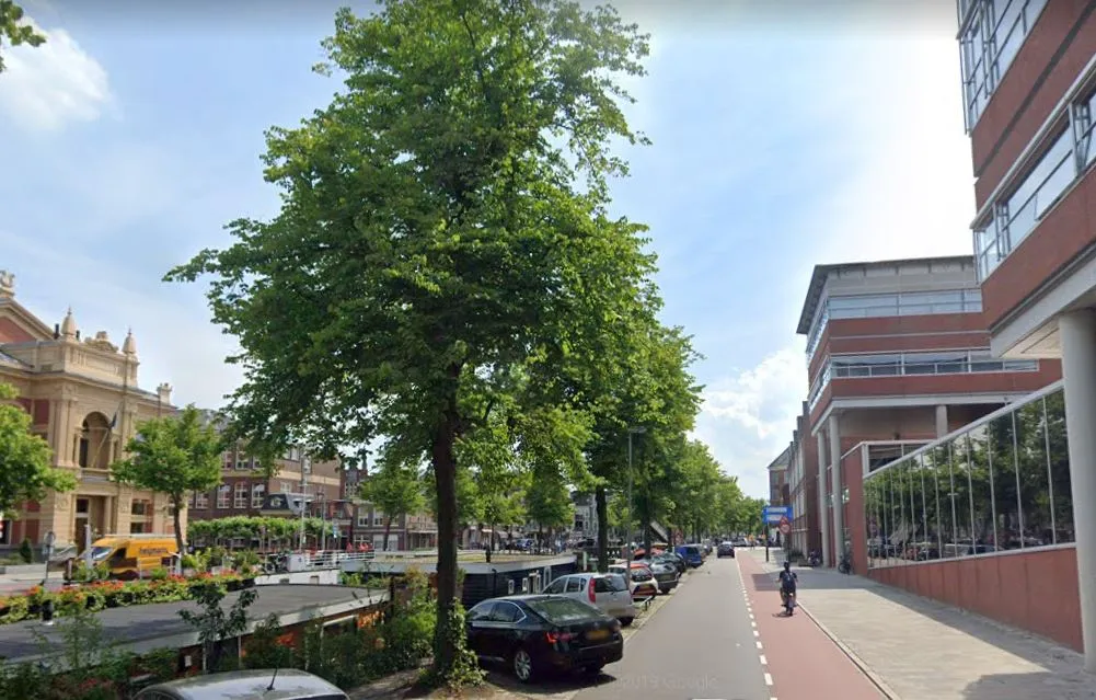 turfsingel naast provincie huis1