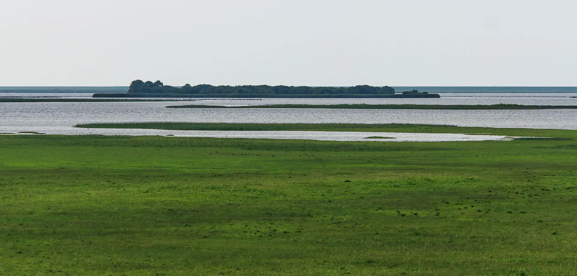 uitzicht vanaf uitkijktoren over het lauwersmeergebied locatie nationaal park lauwersmeer 02 cc by sa 40 dominicus johannes bergsma