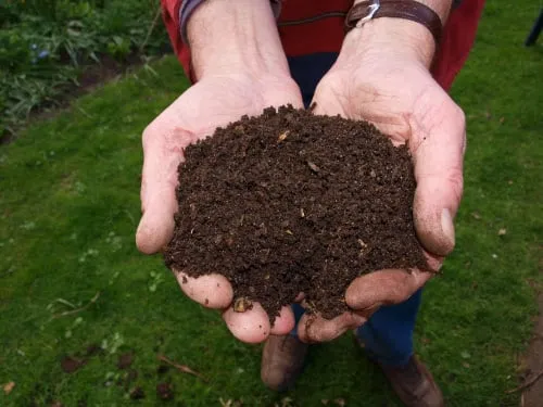 unnamed 2022 04 14t162807611 compost