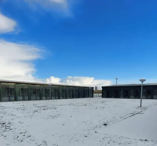 unnamed 2024 01 22t141745341