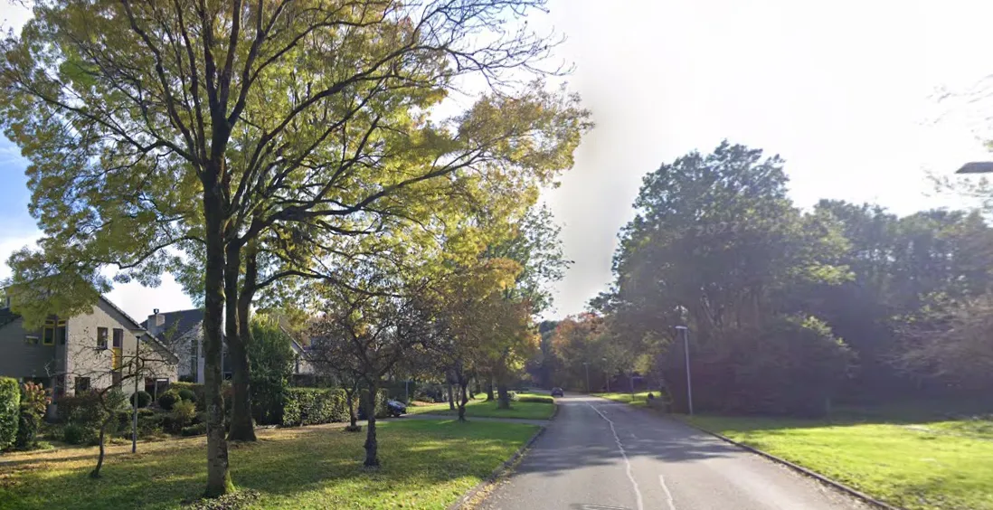 vestdijklaan tussen de maria dermoutlaan en de nico rostlaan