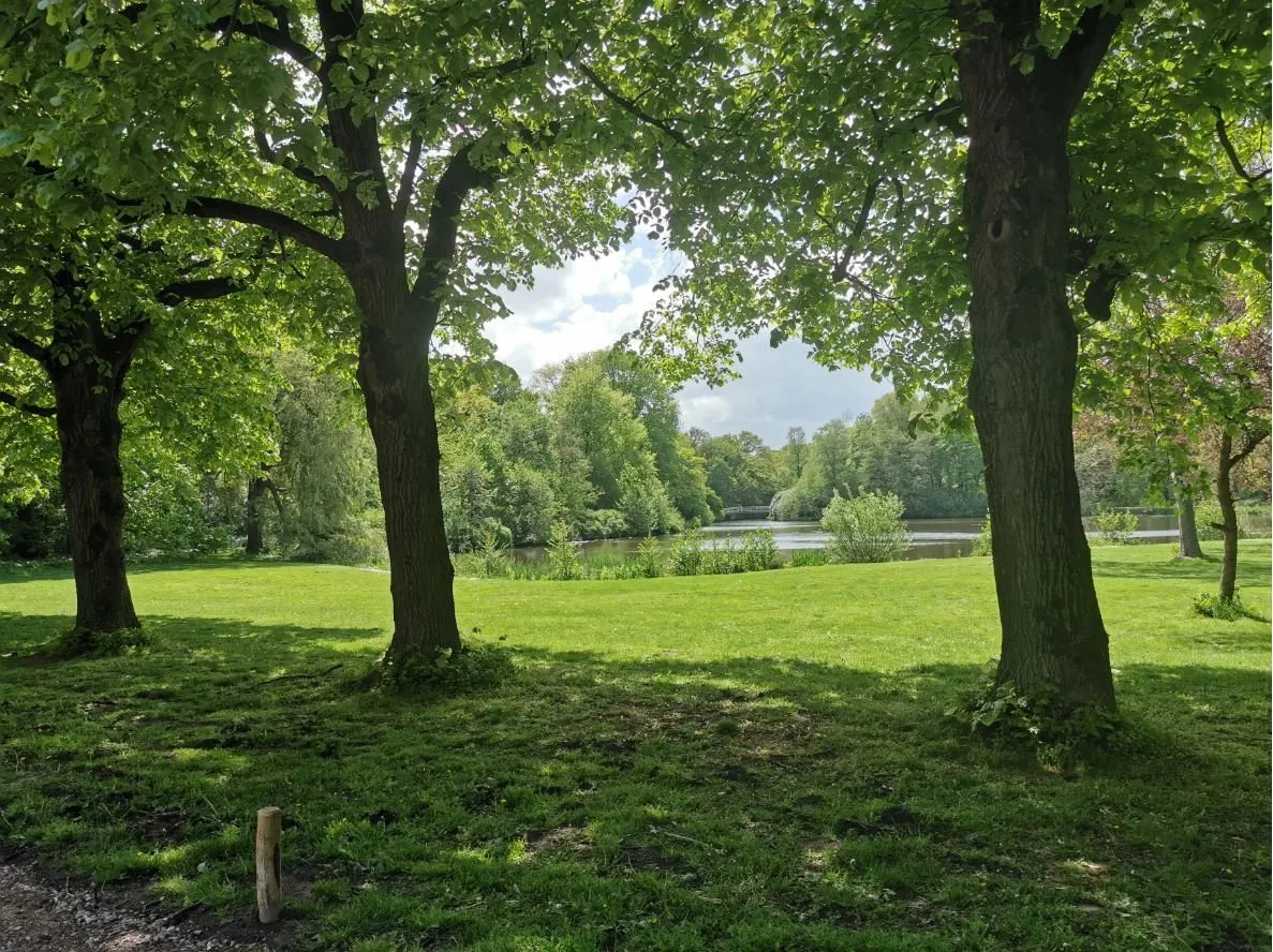 vijver stadspark