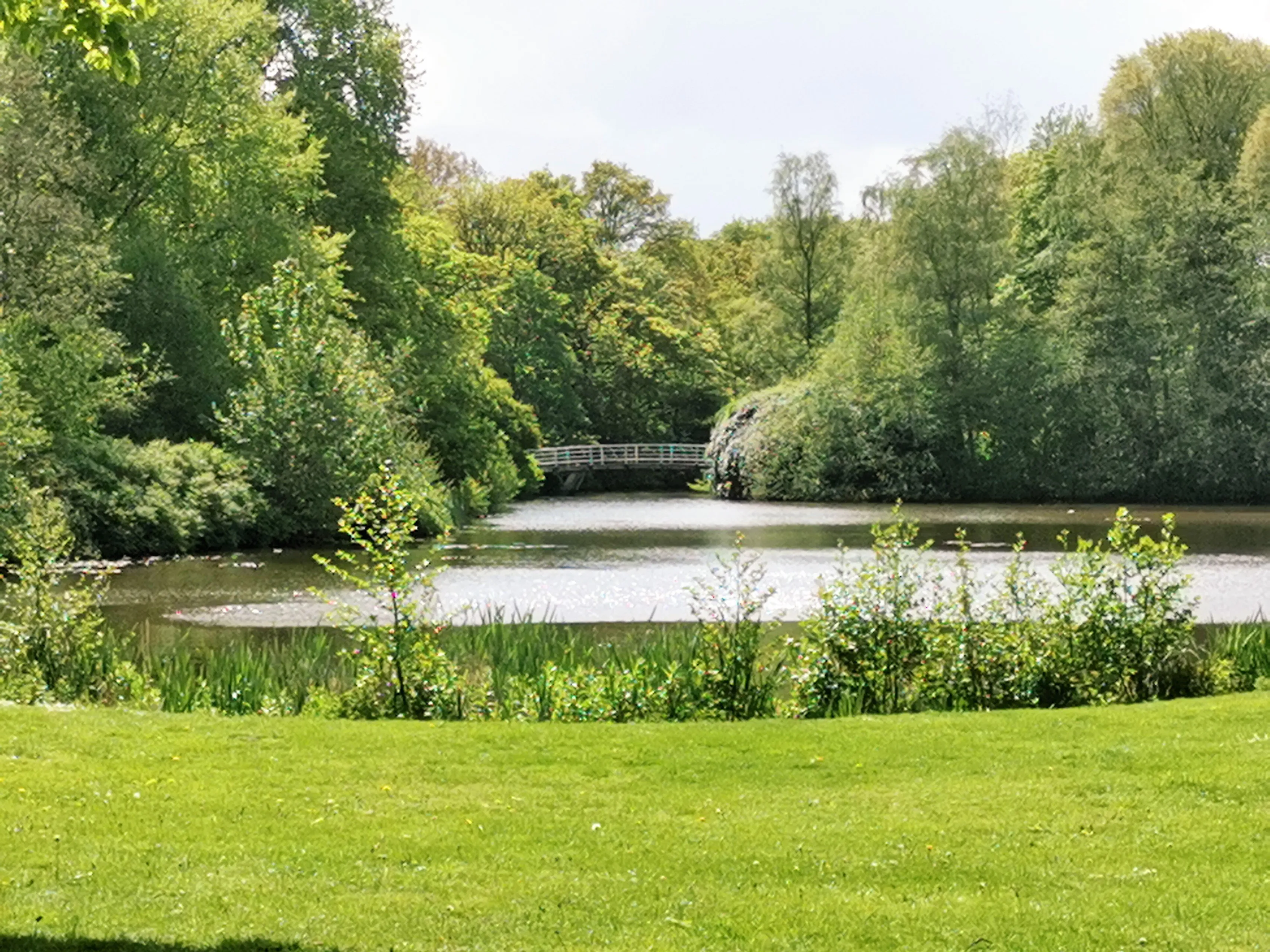 vijver stadspark weer zon