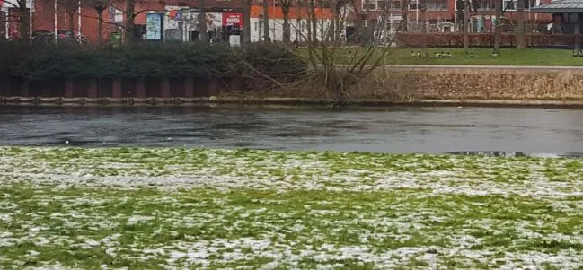 vijver2