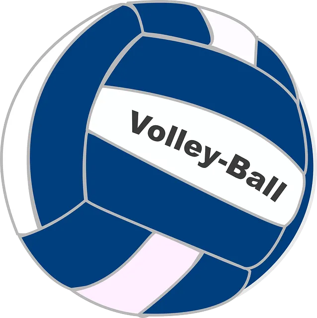 volleyball 309900 640