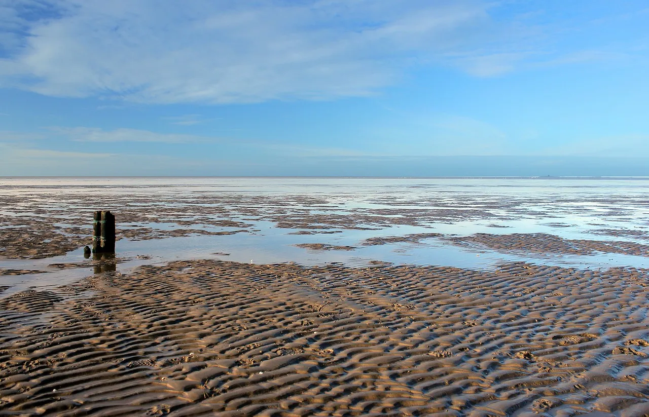 waddenzee north sea 355847 1280