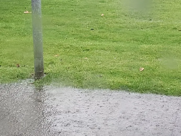 weer